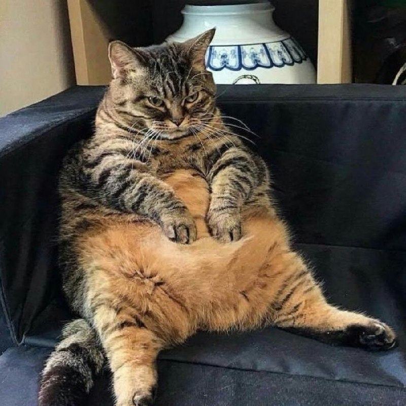 Россияне НЕ ХОТЯТ СЕКСА  после праздников народ накрыла эпидемия нестояния. Каникулы были слишком до