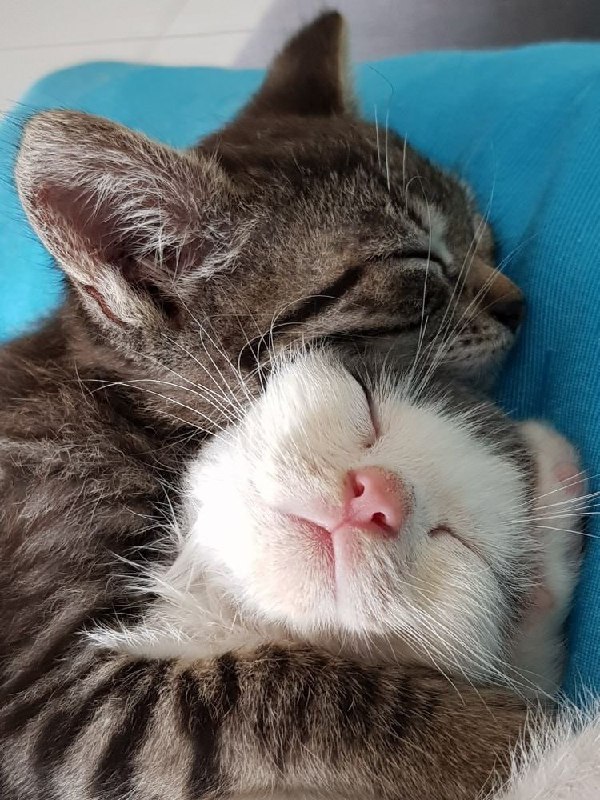 Регулярный СЕКС делает женщин КРАСИВЕЕ  официально. Американские ученые раз и навсегда доказали, что