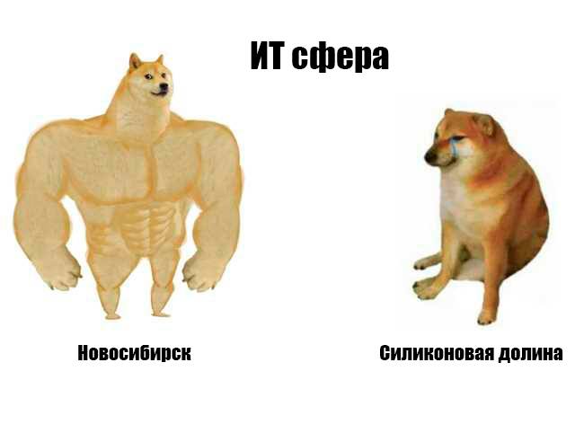 В Новосибирске создали ИТ-клуб, который объединил ИТ-компании и представителей региона. В планах  со
