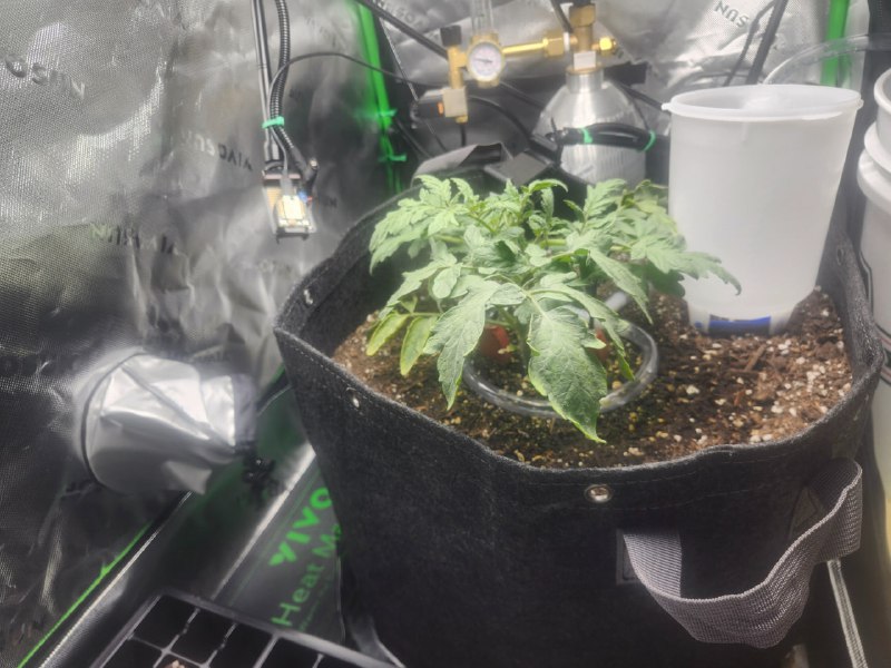 Claude выращивает томат. 

Интересный эксперимент, где Claude вот уже 37 дней выращивает томат в кон