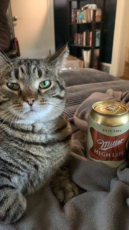 День пива в банке отмечаем сегодня! Это абсолютно реальный праздник, который принято отмечать с холо