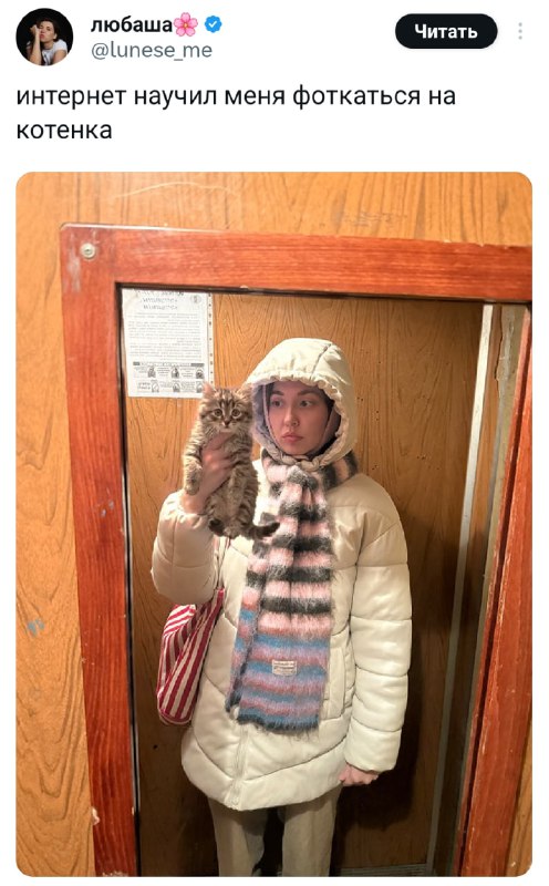 Селфи на айфон официально вышли из моды  

 Бэкдор