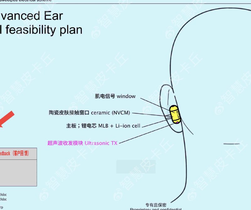 OpenAI готовит конкурента AirPods с ChatGPT внутри

Проект с кодовым именем Sweetpea станет первым г