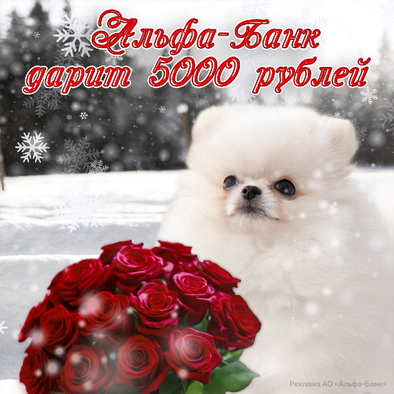 Внуки, покажите своим бабушкам этот пост: Альфа-Банк доплачивает к пенсии 5000 рублей.

Чтобы забрат