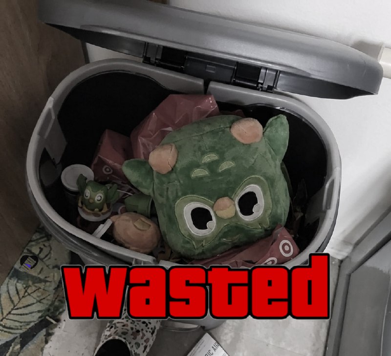 15 лучших приложений для изучения языков, которые отправят Дуолинго в помойку и помогут стать полиг