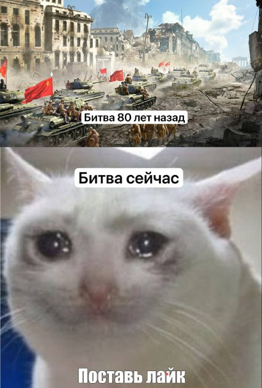 Прямо сейчас происходит легендарная битва дизлайков и лайков под постом с комментарием Дурова. Хейте