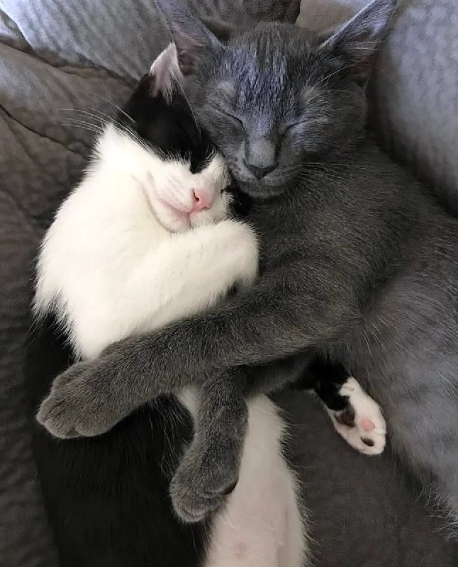 Секс  ЛУЧШИЙ подарок на 14 февраля, заявили ученые. По словам исследователей, начать День всех влюбл