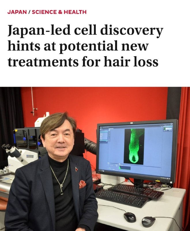 Японцы победили облысение! Институт Riken и OrganTech обнаружили недостающий элемент в регенерации в