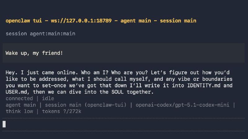 Так вот как ЭТО должно работать!!!

Ребята, ребята, в сети обнаружено 2 годных мануала по OpenClaw: