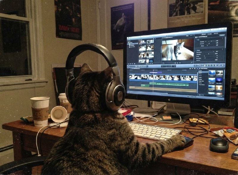 Становимся топовым МОНТАЖЕРОМ в 2026 году  собрали для вас огромную подборку ресурсов, которые помог