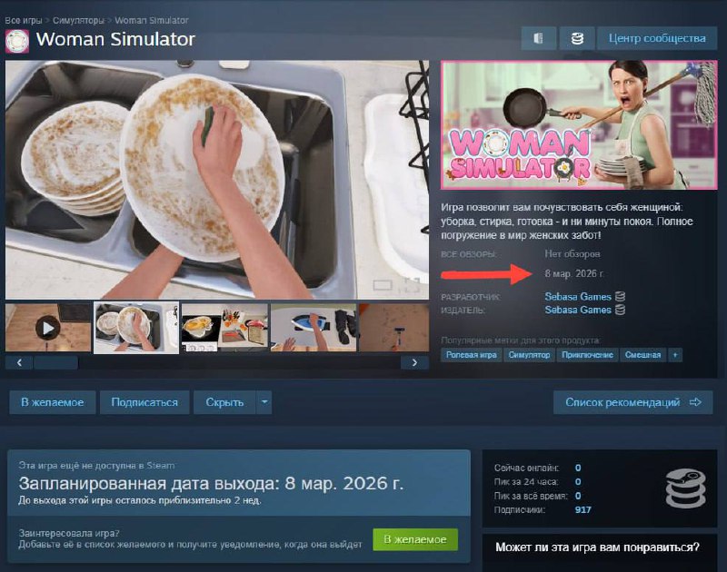 Лол: Симулятор женщины выйдет в Steam… 8 марта. В нём нужно мыть посуду, стирать трусы и носки сво