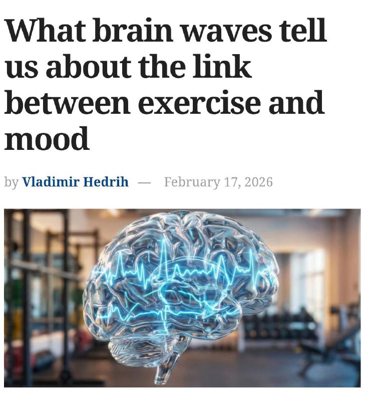 Всего 30 минут спорта УНИЧТОЖАЮТ депрессию и выгорание напрочь  ученые. Исследователи зафиксировали