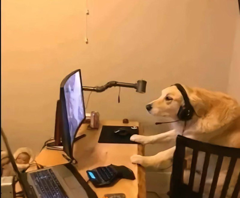 Лучшая агентная кодинг модель на данный момент

 — Claude 4.6 Opus
 — GPT-5.3-Codex
 — GLM-5