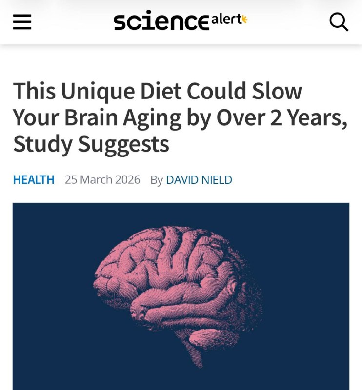 Нашли диету, которая ОМОЛАЖИВАЕТ мозг до 3 лет  ученые собрали набор продуктов, что реально замедляю