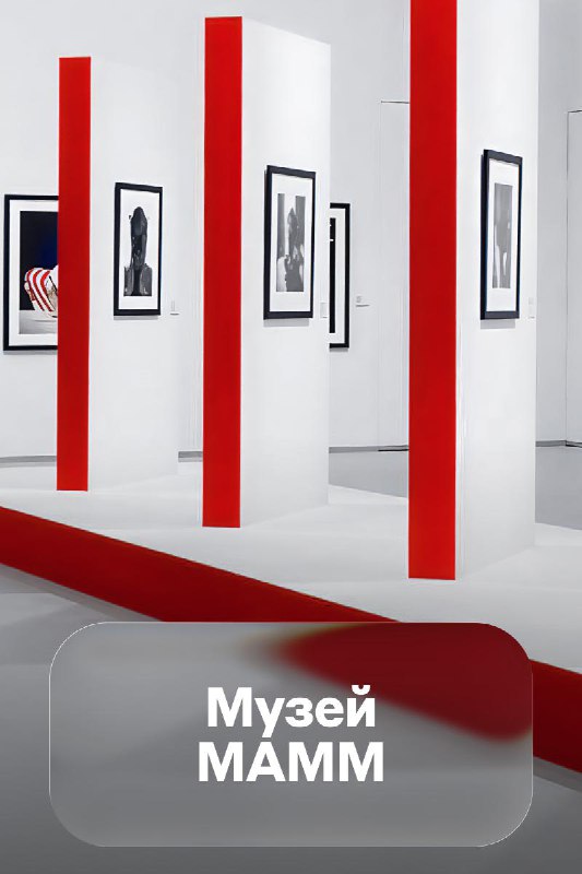 Отдых без суеты. Места от Alfa Only, где должен побывать каждый 

Подогреваемый бассейн в окружении