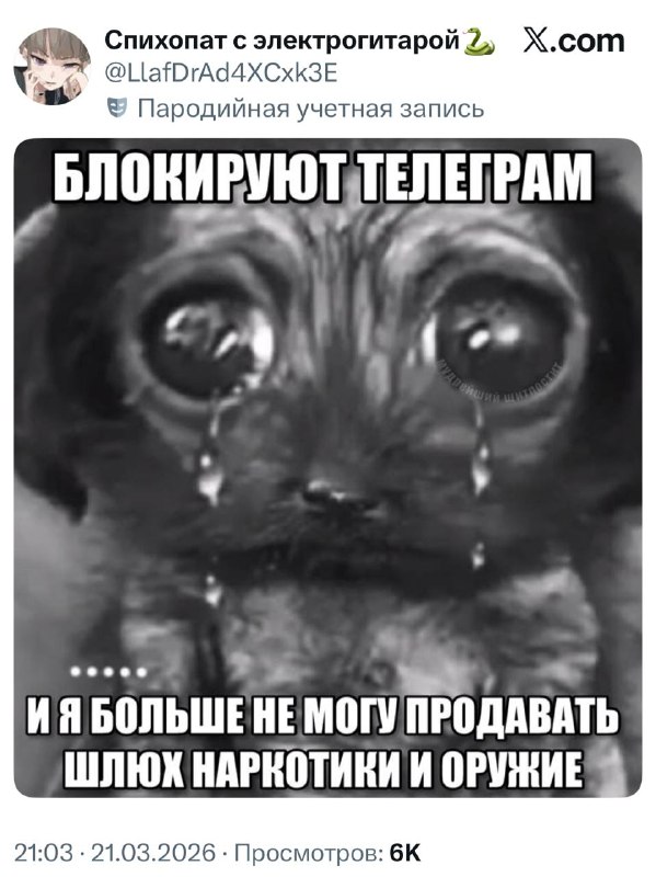 Боль каждого россиянина

 Бэкдор