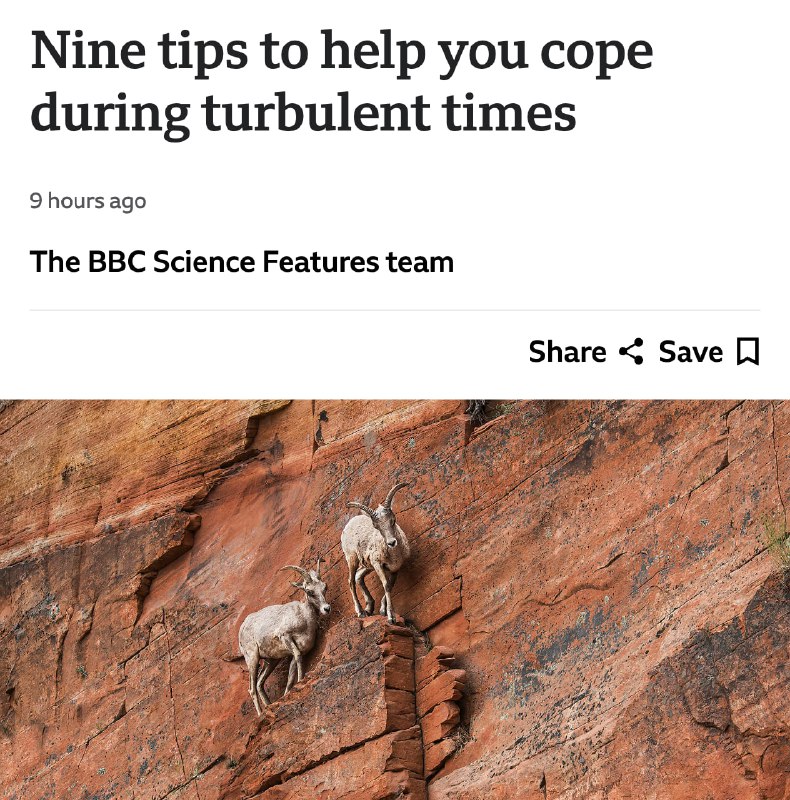 Нашли мощнейший гайд для тревожников  психологи BBC собрали 9 реально рабочих советов, чтобы поборот