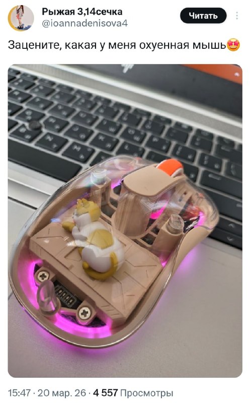 МИЛЕЙШУЮ мышку в мире показали твиттерские  девайс полностью прозрачный, а внутри него спит миниатюр