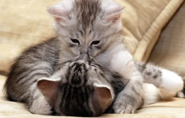 СЕКС по средам САМЫЙ полезный  ученые. Исследователи официально доказали, что устраивать жаркий инти