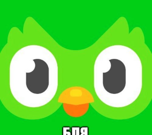 Duolingo могут ЗАБЛОКИРОВАТЬ в России Таганский суд в Москве оштрафовал платформу на 2 млн рублей з