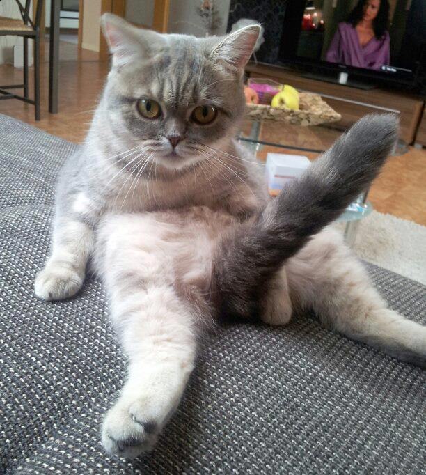 День похоти (National Horny Day) отмечаем сегодня! В этот день отбрасываем скромность и не стесняемс