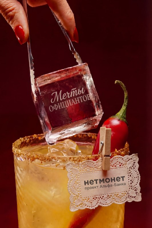 Встреча с бабулей, приют для животных и бренд одежды. На что копят официанты в Нетмонет 

В сервисе