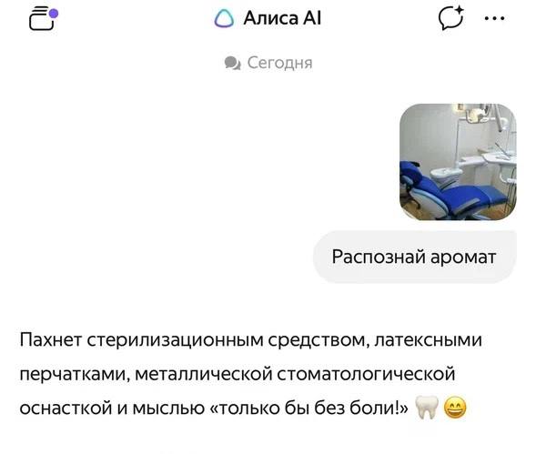 ААА: Алиса AI стала первой нейросетью в мире, которая научилась РАСПОЗНАВАТЬ ЗАПАХИ
В приложении по