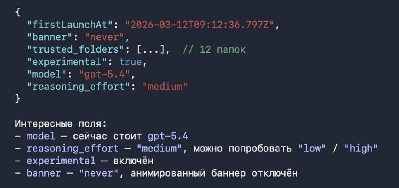 Какие в этом GitHub Copilot есть настройки

Да почти никаких. Показал на скриншоте. Хранятся в .copi