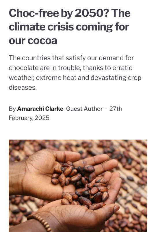 Мир останется без шоколада уже через 20 лет! И это не кликбейт, а судьбоносные отчеты климатологов и