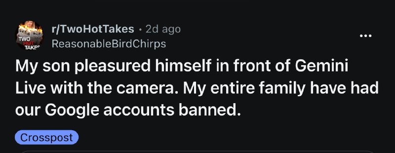 Подросток подрочил перед Gemini Live и похоронил весь семейный бизнес. Гугл навсегда забанил все акк